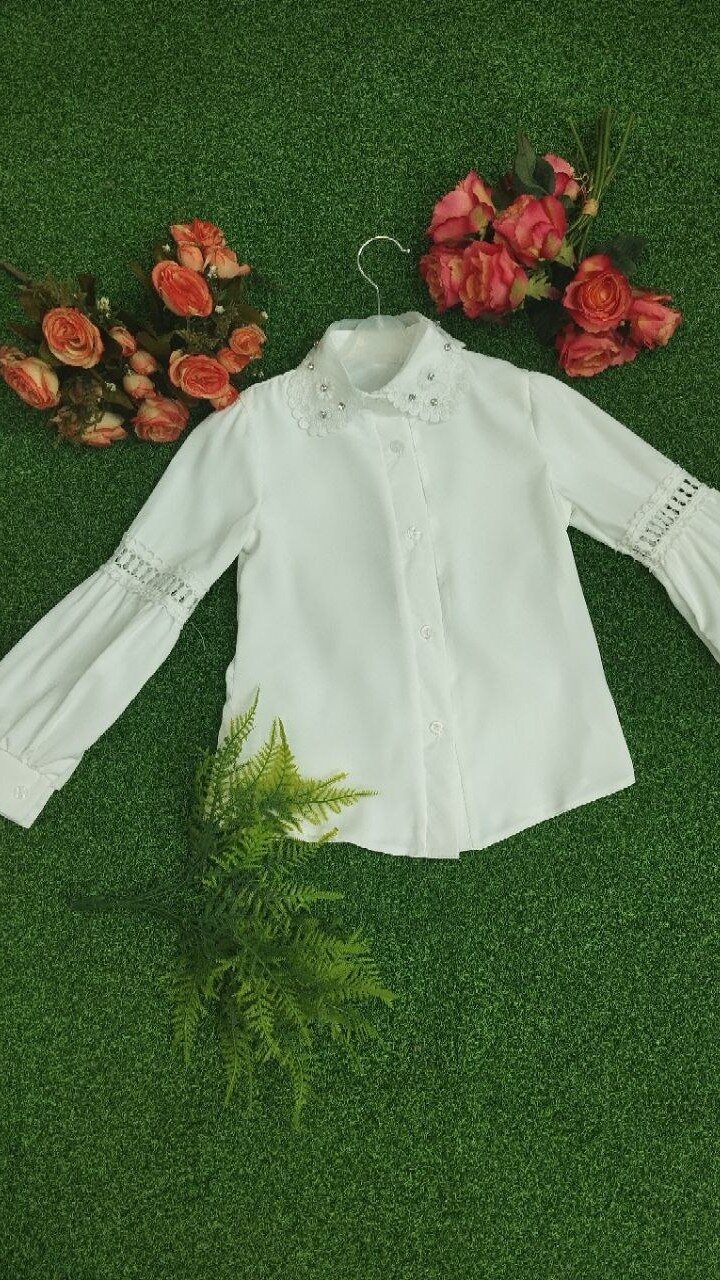 Блузки, широкий ассортимент 
блузок арт.480726