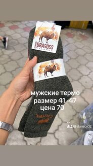 Мужские носки, термо арт.485997