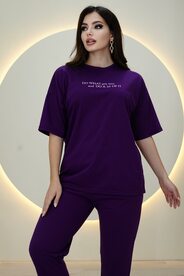Спортивные костюмы, летная двойка в спортивном стиле арт.492165
